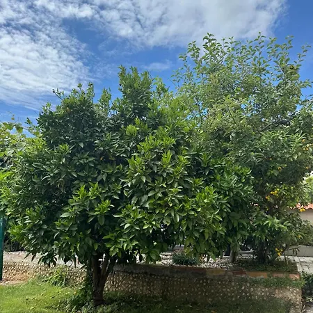 Marevita Garden Lanterna * Frata